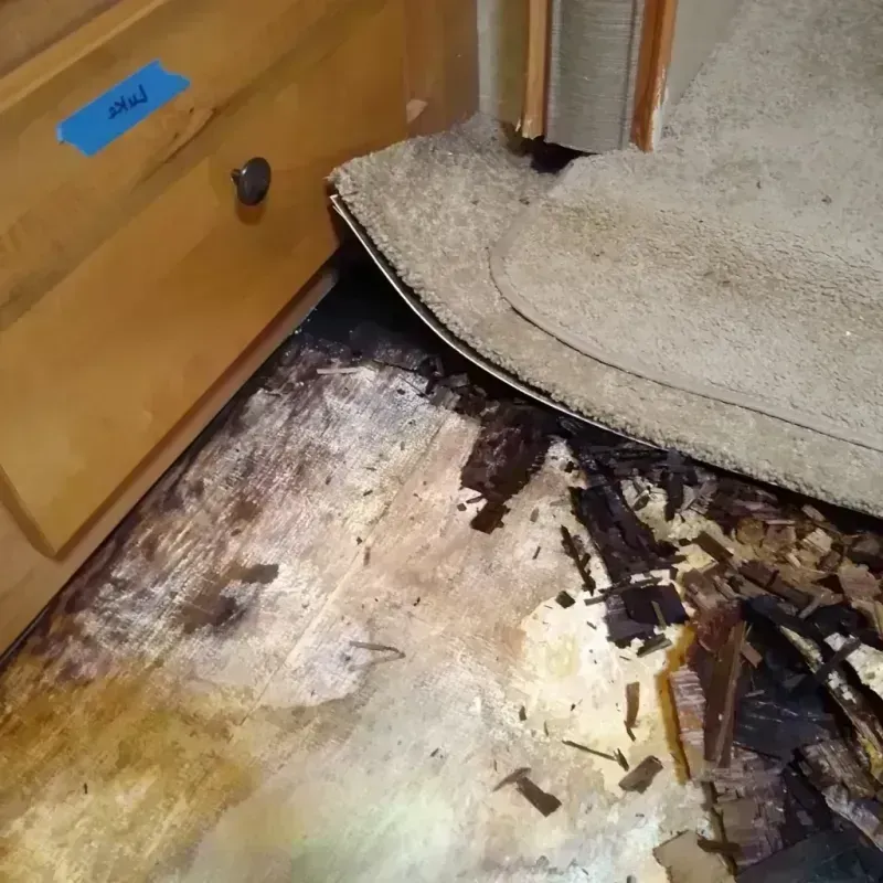 Wood Floor Water Damage in Jefferson, MD